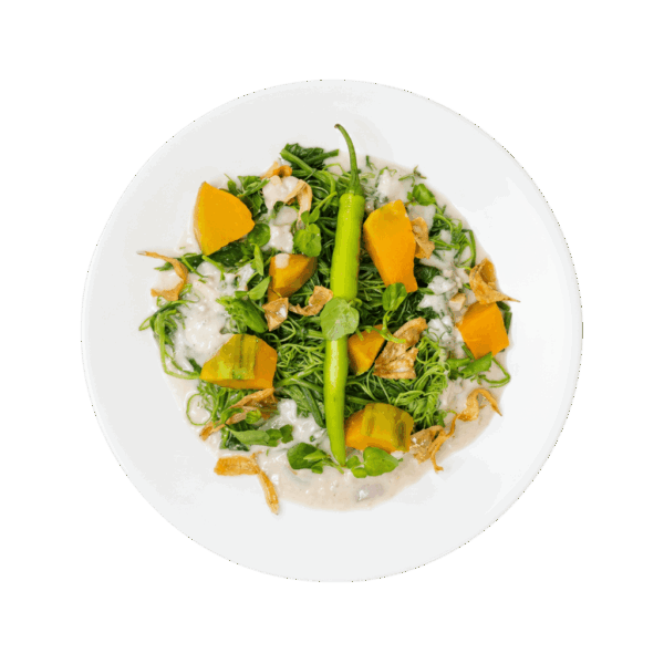 RTE COMFORT VEGGIE